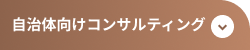 自治体向けコンサルティング